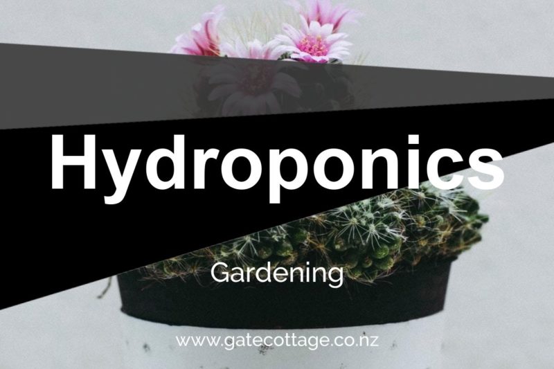 hydroponics System